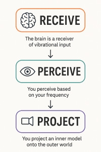 Your Brain is a Receiver Your Brain is a Receiver